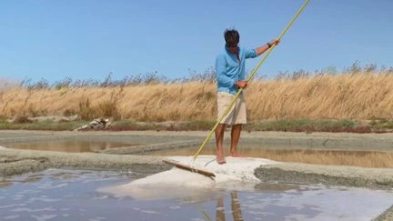 Charente-Maritime : les bienfaits de la fleur de sel, produit star de l'été sur l'île de Ré