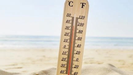 Quand la chanson a trop chaud
