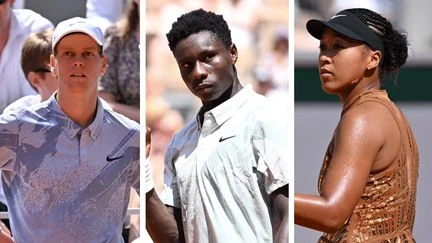 Roland-Garros 2026 : l'élimination de Jannik Sinner, l'abnégation de Moise Kouame... Les trois infos à retenir de jeudi