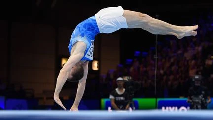 Mondiaux de gymnastique : le Tribunal arbitral du sport rejette les requêtes des athlètes israéliens privés de visa par l'Indonésie et maintient la compétition