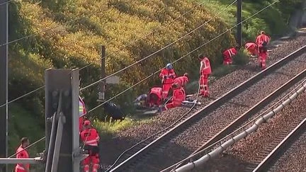 600 mètres de câbles volés à Lille Europe : des TGV à l'arrêt pour la journée dans le Nord
