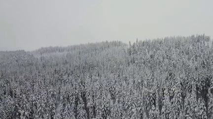 Laponie suédoise : ces Français qui ont tout plaqué pour partir y vivre