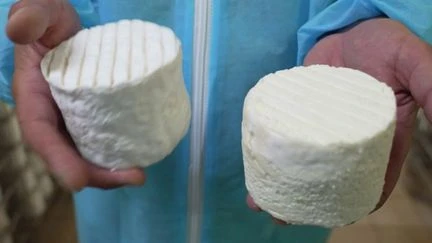 Gastronomie : le chaource, fromage crémeux de l'Aube