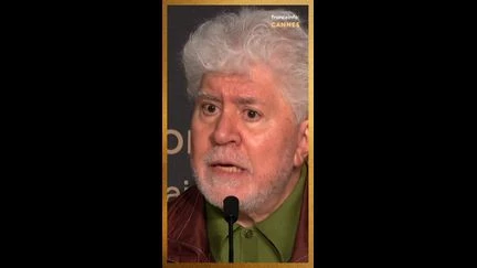 Pedro Almodóvar brise 