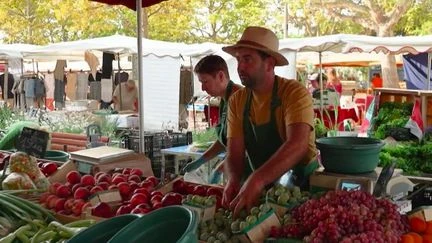 Var : dans les coulisses du marché des quais de Sanary-sur-Mer