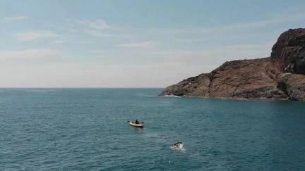Bracelet anti-requins, cagoule anti-méduse... Un couple se prépare à traverser l'Atlantique à la nage