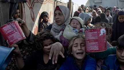 À Gaza, 14 000 bébés palestiniens risquent-ils de mourir de la faim en 48 heures ?