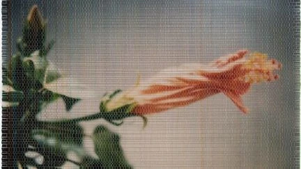 Rencontres de la photographie d'Arles : cinq échappées dans le festival Off