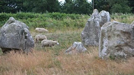 Inscription des Mégalithes de Carnac au patrimoine mondial de l'Unesco : 