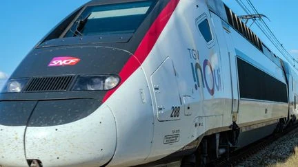 Perturbations sur l'axe ferroviaire Paris-Lyon-Marseille : des retards et deux trains bloqués au nord de Lyon