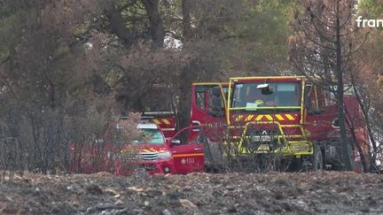 Incendies : les pompiers vigilants lors d'une journée à haut risque