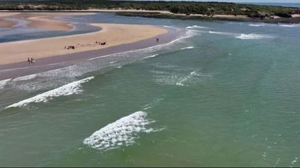 Projet de surfpark en Vendée : les surfeurs disent 
