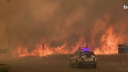 Espagne : les incendies font rage, le pays appel à l'aide l'Union européenne