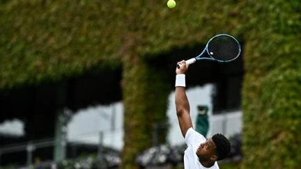 Wimbledon 2025 : Giovanni Mpetshi Perricard, l'un des Français qui peut aller loin ?