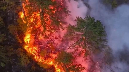 Incendies : Bosnie, Turquie, Chypre... Le sud de l'Europe sévèrement touché par les flammes
