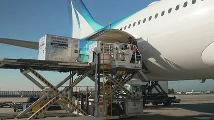 Produits électroniques, médicaments… Ces produits étonnants transportés dans la soute de nos avions