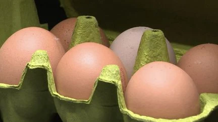 Supermarchés : des œufs non conformes dans les rayons ?