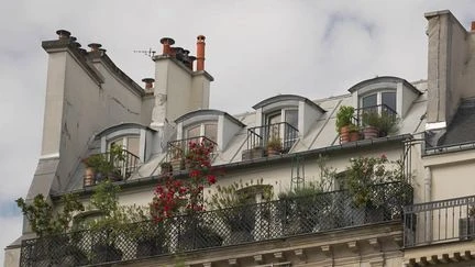 L'encadrement des loyers menacé ? Un nouveau rapport pointe l'effet mitigé du dispositif