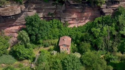 Échappée verte dans la vallée des Éclusiers, concentré d'histoire et de saveurs au fil du Rhin