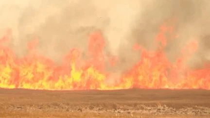 Incendies : Grèce, Bulgarie, Turquie... le sud-est de l'Europe fortement touché