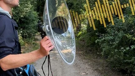 Tomkin compose de la musique à partir des sons de la nature