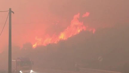 Eurozapping : plus de 400 000 hectares partis en fumée en Espagne