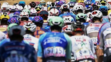 Tour de France 2025 : première étape en haute altitude pour le peloton, un duel Pogacar-Vingegaard attendu... Suivez la 12e étape
