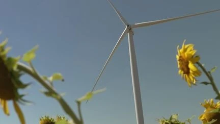 Parcs éoliens : des projets stoppés pour saturation visuelle