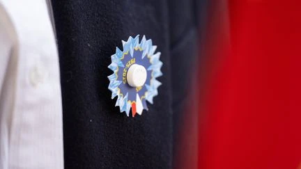 11-Novembre : la chanson de Jean-Jacques Goldman pour le centenaire du Bleuet de France est un 