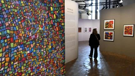Mort de Sebastiao Salgado : son fils Rodrigo Salgado, artiste trisomique, expose ses œuvres à Reims