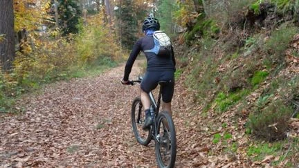 Avant l'hiver, les Vosges captivent les touristes avec leurs couleurs d'automne