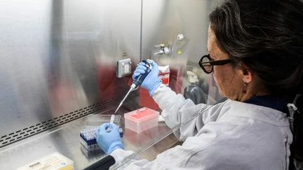 Quand l'hantavirus a-t-il été découvert et a-t-il déjà causé des épidémies ?