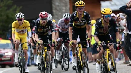 Tour de France 2025 : les abeilles de la Visma-Lease a bike ont encore tenté de piquer Tadej Pogacar, mais sont restées inoffensives