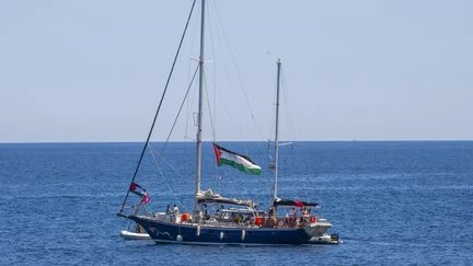 Des dizaines de bateaux, l'actrice Susan Sarandon parmi les participants... Ce que l'on sait de la 