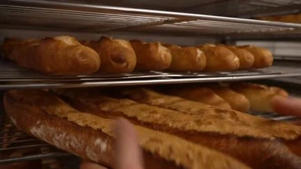 Boulangeries : le débat sur l’ouverture 7 jours sur 7 divise petits et grands artisans