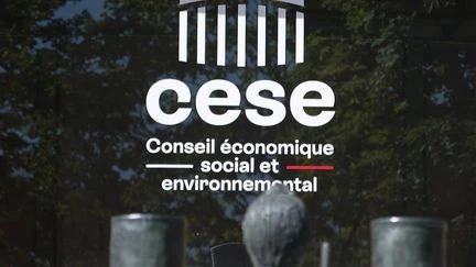 Cese : à quoi sert le Conseil économique, social et environnemental, dans le viseur d'un rapport parlementaire ?