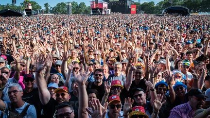 Les Vieilles Charrues, la plaisanterie et le géant