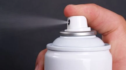 Néonicotinoïdes : colliers anti-puces, insecticides ménagers, décision politique... On a vérifié plusieurs déclarations sur l'acétamipride
