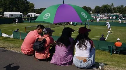 Les qualifications du tournoi de Wimbledon interrompues par une panne du système d'arbitrage électronique