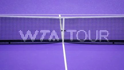 Tennis : les joueuses qui souhaitent effectuer une procédure de préservation de la fertilité pourront bénéficier d'un classement protégé