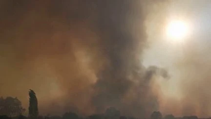 Incendies : plus de 10 000 hectares sont partis en fumée à Chypre