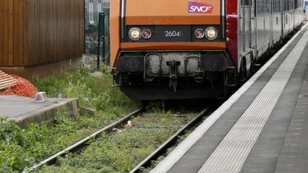 Canicule : pourquoi la SNCF n'arrive pas à assurer certaines liaisons