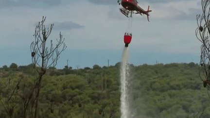 Incendie dans l'Aude : le feu enfin fixé, plus de 600 hectares partis en fumée