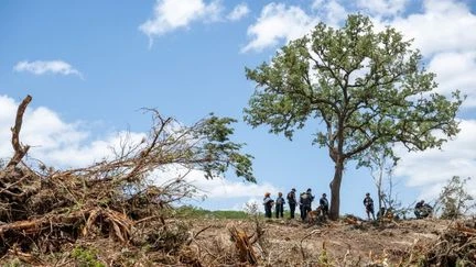 Inondations meurtrières au Texas : avant la visite de Donald Trump, les habitants du comté de Kerr balaient les polémiques
