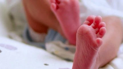 Budget 2026 : indemnités, répartition entre parents... Tout sur le nouveau congé de naissance, en débat à l'Assemblée