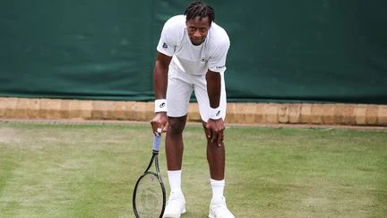Wimbledon 2025 : Gaël Monfils éliminé au 2e tour après sa défaite face à Marton Fucsovics