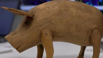Greffe d’organes : et si la solution pour la transplantation était dans le cochon ?