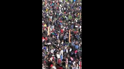 Des milliers de fans réunis au Chili pour un échange géant de cartes Panini