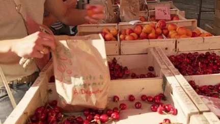 Chaleur : avec plus de 37 degrés attendus dans le Lot, comment adapter son alimentation ?