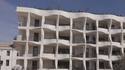 Architecture : des immeubles où tout a été conçu pour limiter la chaleur